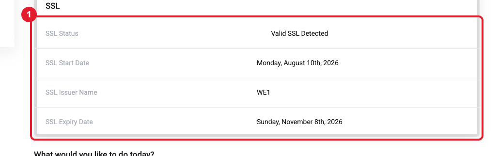Domain SSL status