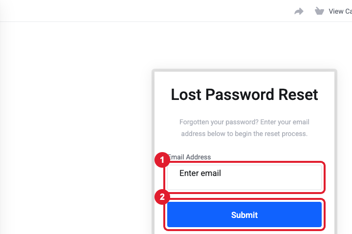Lost Password Reset page
